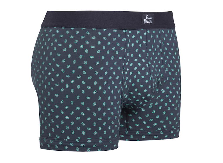 Side Daddy - blue brief with green paisley pattern - True Boxers